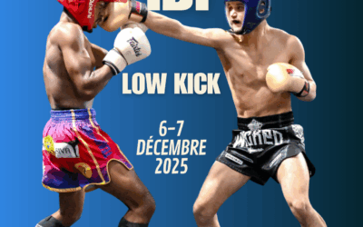 Arbre des combats Low Kick